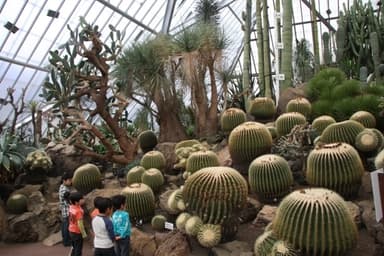 伊豆シャボテン公園