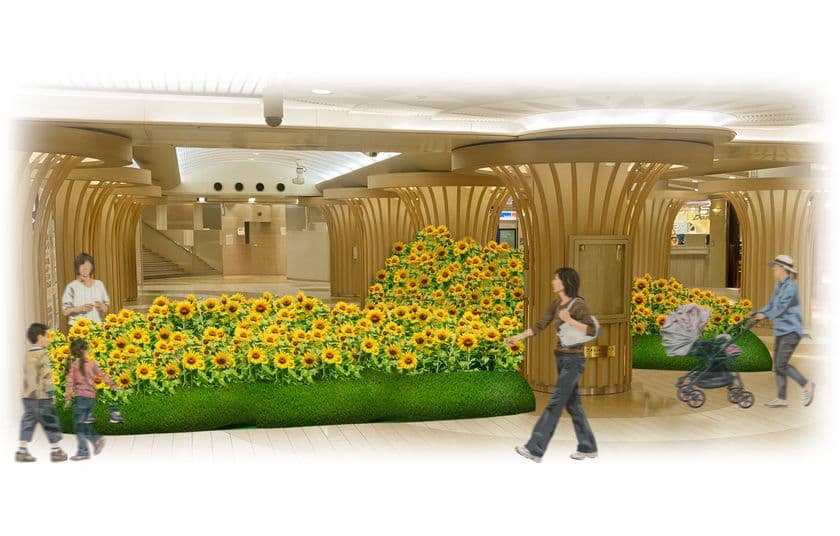 なんばウォーク夏の風物詩
本物のひまわり1万本が咲き誇る
「ひまわりパーク」が7月17日スタート