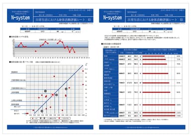 N-system