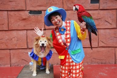 伊豆シャボテン公園 ドッグショー