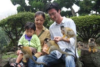 伊豆シャボテン公園 リスザル