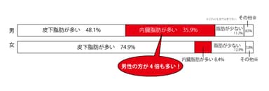 内臓脂肪の割合は男性が4倍も多い