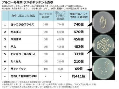 水拭きした後の食卓で、“3秒ルール”を検証