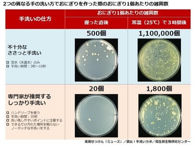 「ささっと手洗い」「しっかり手洗い」おにぎり雑菌数比較実験結果