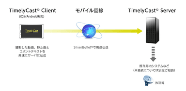 TimelyCast03