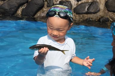 ちびっこ魚のつかみどり