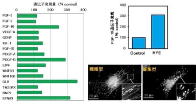 論文発表に使用した資料 2