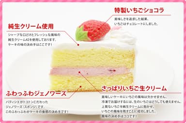 ケーキ切り口