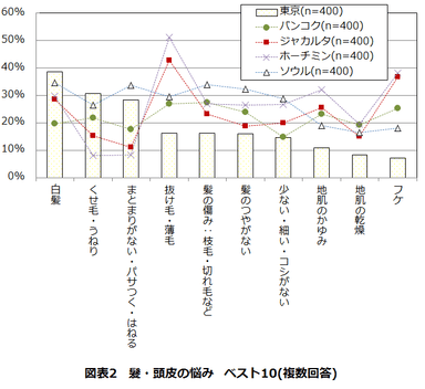 図表2　髪・頭皮の悩み　ベスト10