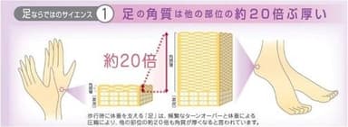 足の角質20倍