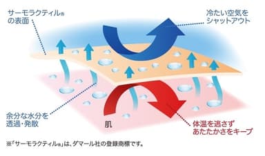 あたたかさの構造