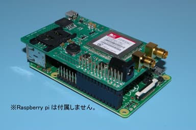 Raspberry Piにスタックした状態