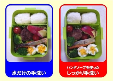 2つの異なる手洗いで作ったお弁当