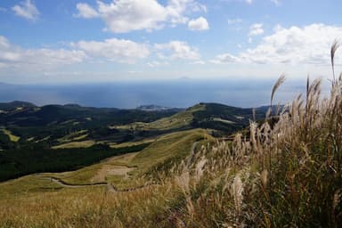 稲取細野高原すすきイメージ2