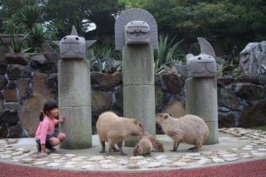 カピバラ虹の広場