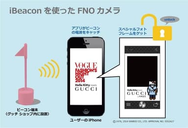 FNOカメラ