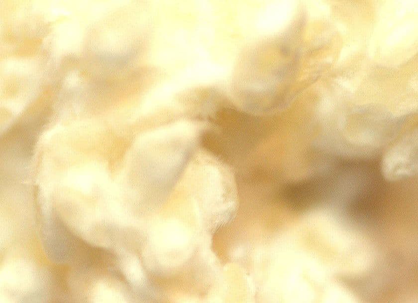 箱根の温泉宿「養生館はるのひかり」
ぬる湯温泉×発芽玄米菜食×整体を組み合わせた
「自律神経の養生プラン」新たに2泊の新プランを提供開始