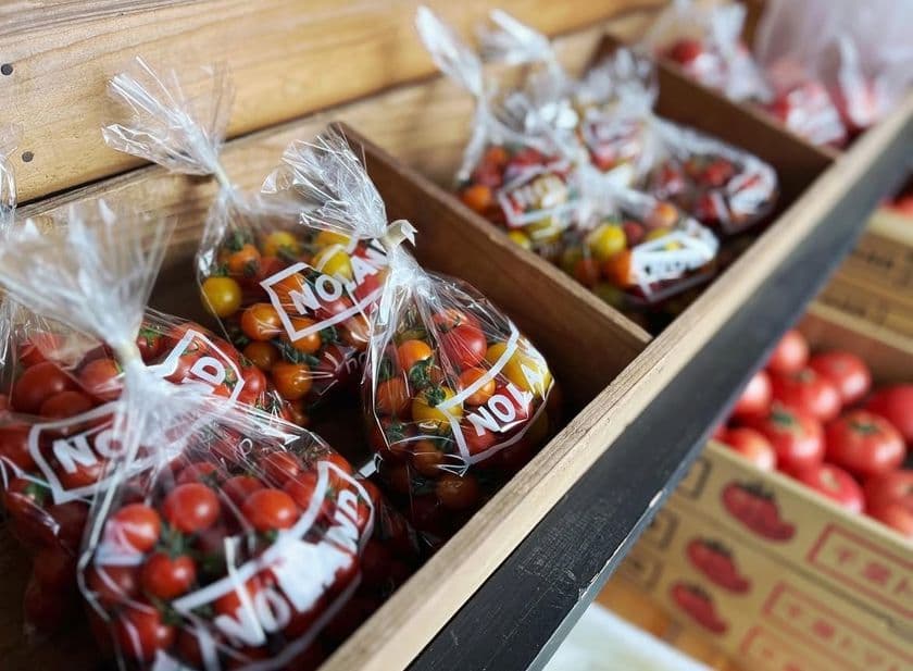 クーラーボックス必携!
“直売所天国”千葉で採れたてを巡ろう
9月12日からは「ちばまるしぇキャンペーン2025」も開催!