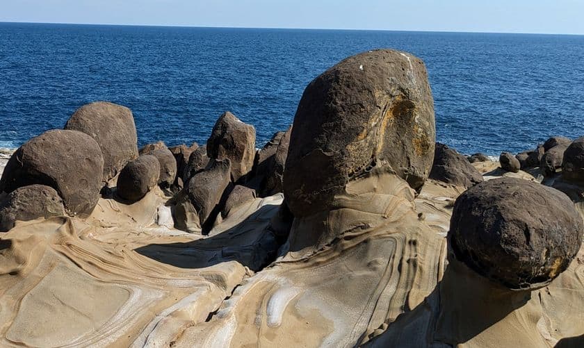 放射性廃棄物処分施設に使用する
コンクリートの水密性を劇的に高める技術を開発