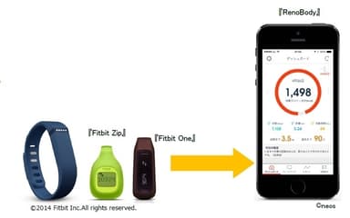 【RenoBody】×Fitbit連携