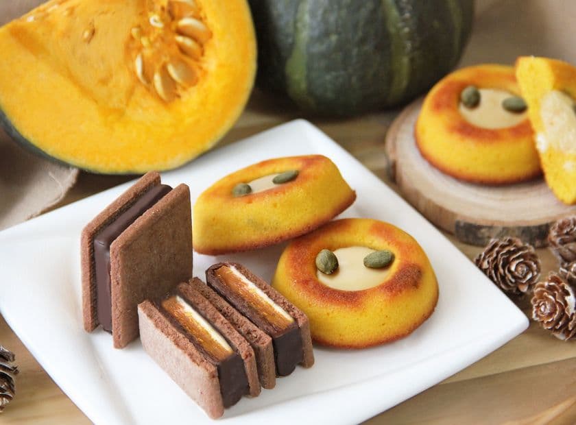 長野県クラフトチョコレートブランド
「信州ショコラトリーGAKU」より
ハロウィン限定かぼちゃ商品発売!