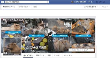 『カピバラの露天風呂』Facebookページ