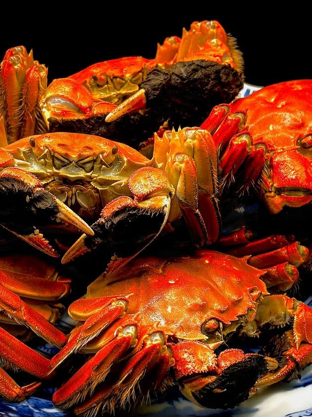 “秋の美食、ここに極まる”麻布十番の本格中華「シーファン」、
待望の【上海蟹特別コース】を10月14日より期間限定で提供開始