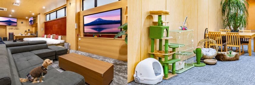 長崎県島原温泉ホテル南風楼が
体重制限なし・頭数制限なし・一棟貸切の
ワンちゃんとネコちゃんと泊まれる新施設を
2025年9月にオープン!