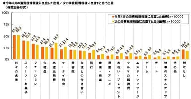 消費増税と出費の見直し