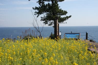 伊豆四季の花公園9