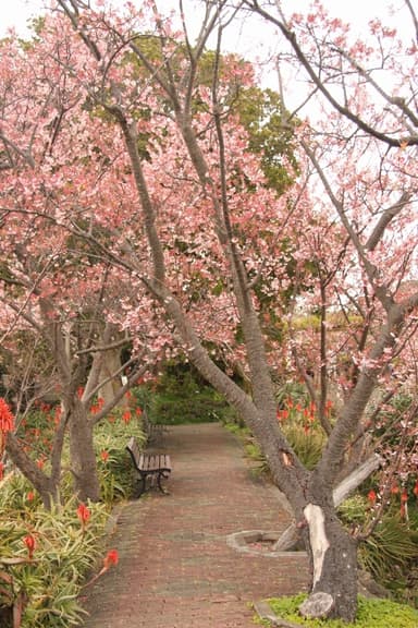 伊豆四季の花公園6