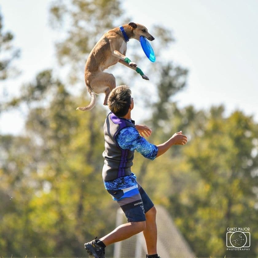 《入場無料》秋の那須ガーデンアウトレットで、
愛犬と1日中楽しもう!
現役世界チャンピオンによる「ディスクドッグパフォーマンス」を
はじめ、わんちゃんと一緒に“楽しむ時間”が盛りだくさん!
with Dogs club主催による
「第2回 Happy! ワンDays フェスタ」開催!