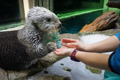 氷のクリスマスツリーをぎゅっと抱きしめるパタ