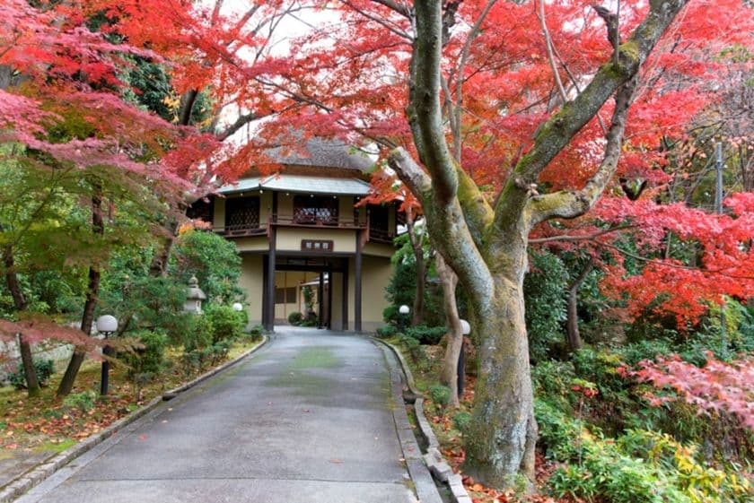 奈良富雄の料亭百楽荘で紅葉の庭園を特別公開
「百楽荘 秋の庭園開放」イベント開催!