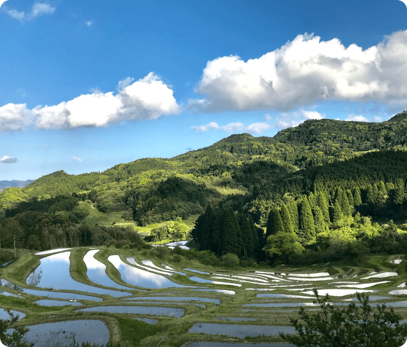 都心から約90分の“日本の原風景”
千葉・鴨川の里山エリアで楽しむ 古民家宿&カフェ5選