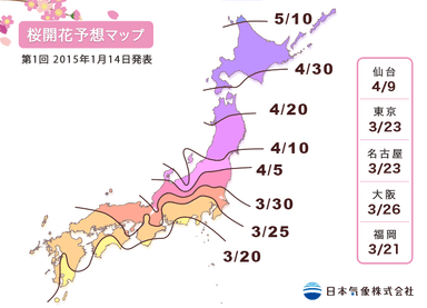 2015年桜開花予想マップ