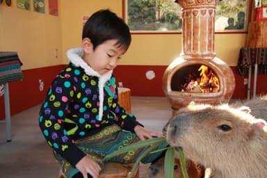 伊豆シャボテン公園2