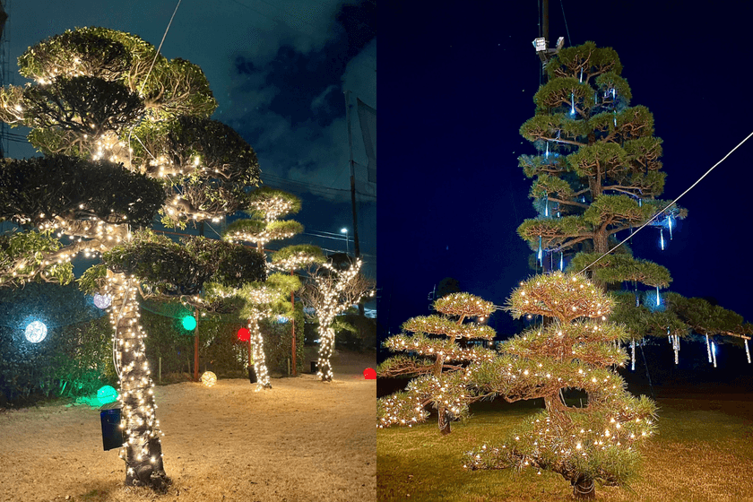 “光の中で打つ”新感覚ゴルフ体験!座間の夜を彩る
『ZAMA GOLF ナイトイルミネーション 2025』が開幕