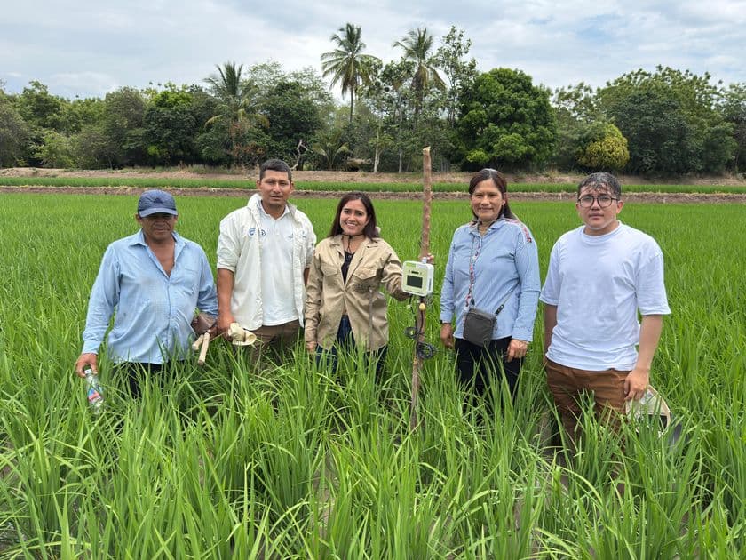 ペルーの水稲生産における病害管理プロジェクトに
「e-kakashi」が採用