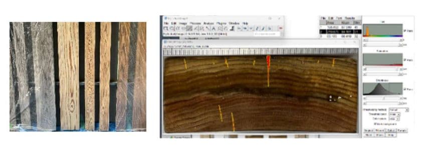 木造建築の退色・ひび割れに効果的な手法を、
工学院大学が12月9日から東京ビッグサイトで紹介