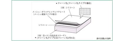 「テルダーミス」の構造