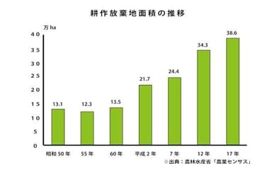 耕作放棄地面積の推移