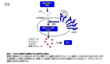 図3