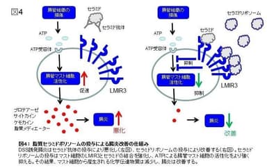 図4