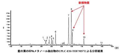 藍の葉の80％メタノール抽出物のUPLC-ESI- TOF/MS Eによる分析結果