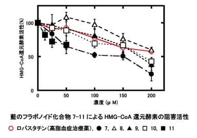 藍のフラボノイド化合物7-11によるHMG-CoA還元酵素の阻害活性