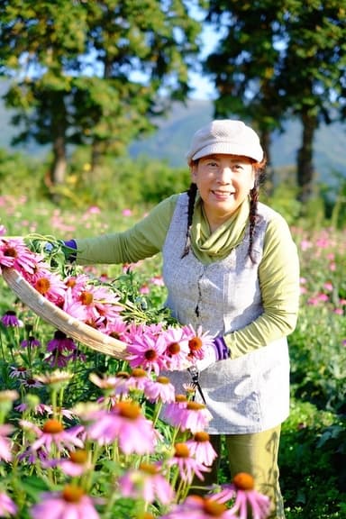 耕作放棄地をハーブで復興