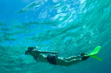 シュノーケルで美しい海の中を満喫