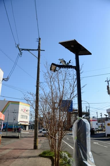 多機能次世代ソーラーLED街路灯(駅前通り)