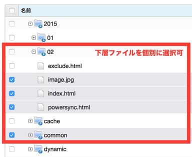 下層ディレクトリ / ファイル単位で個別に選択して同期可能